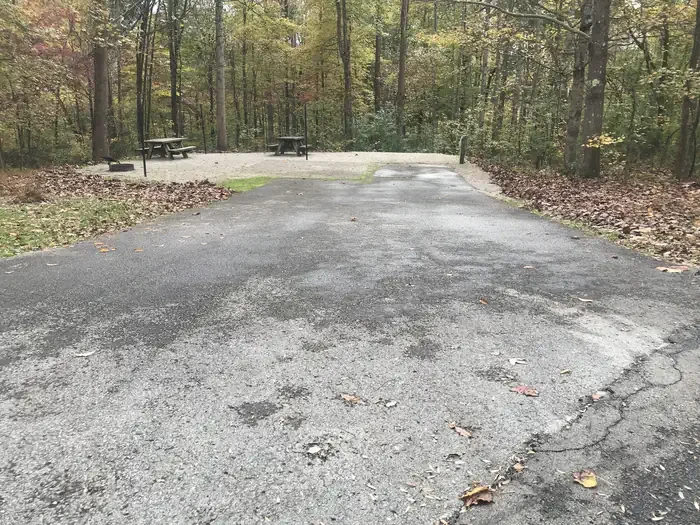 H005