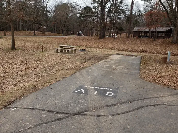 A19
