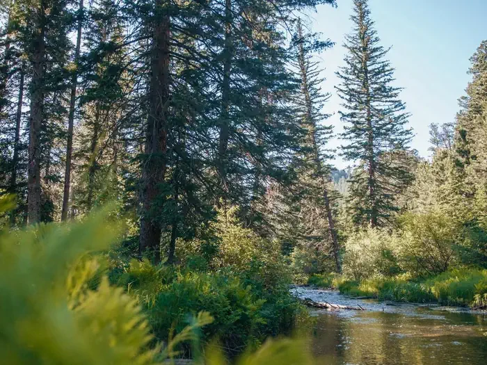 Boxelder Forks Campground