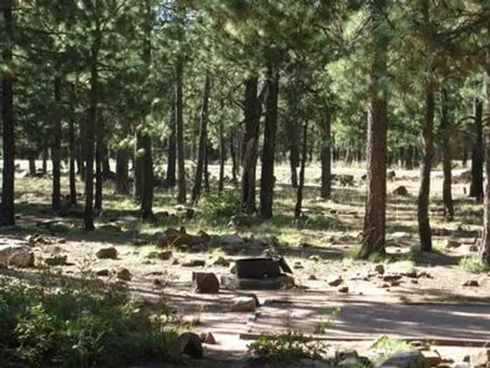 Crook Campground