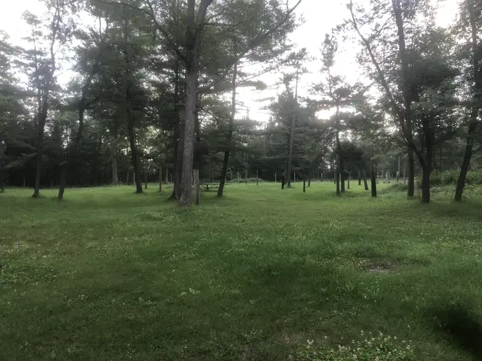 South Branch Trail Camp Group Site