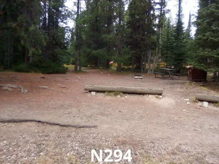 294