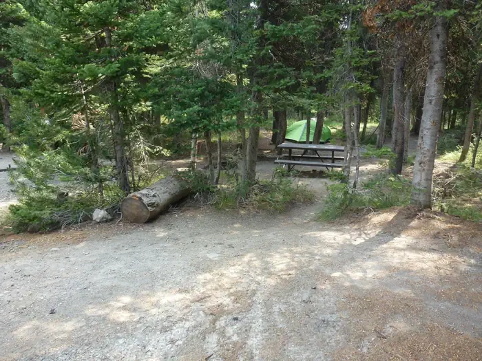 Lewis Lake site #40