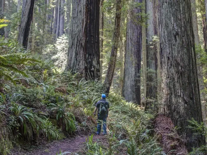 Salmon Pass Trail Docent Guided Hiking Tours