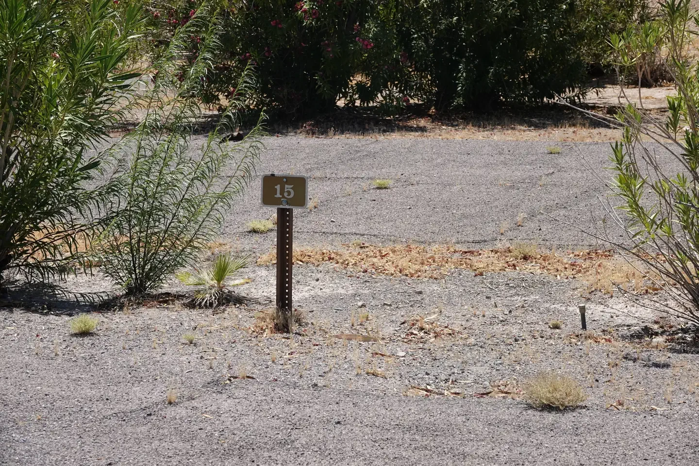 Site 15