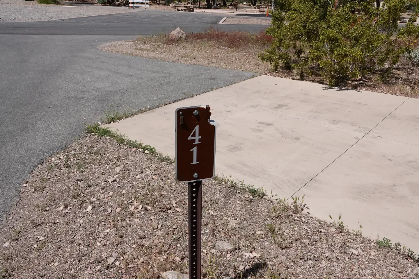 Site 41