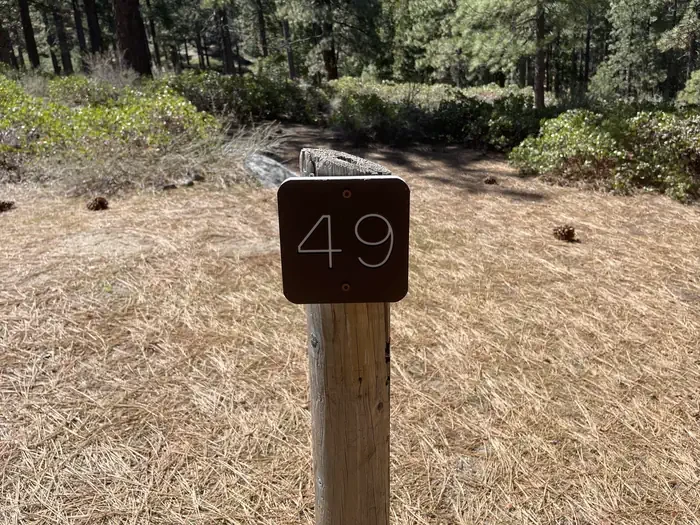 49