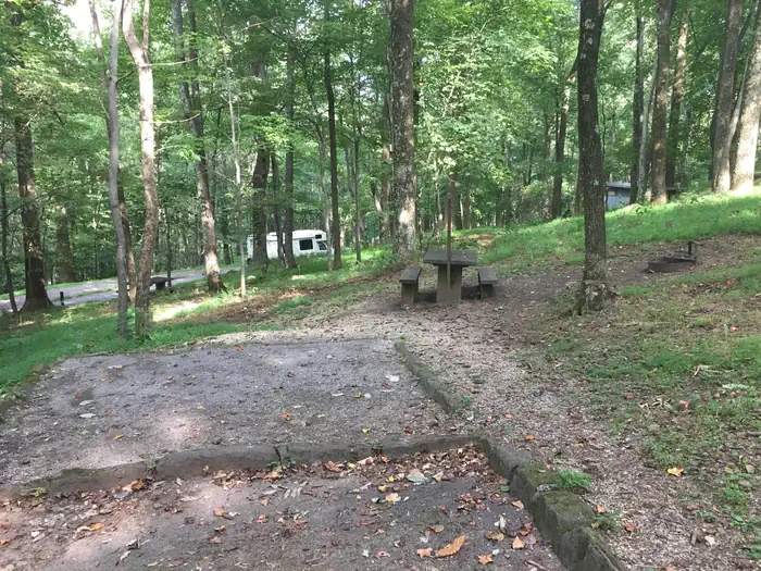 B44