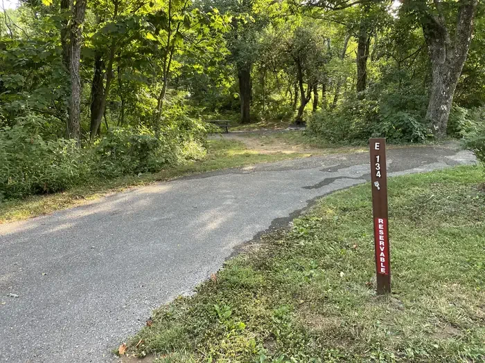 E134