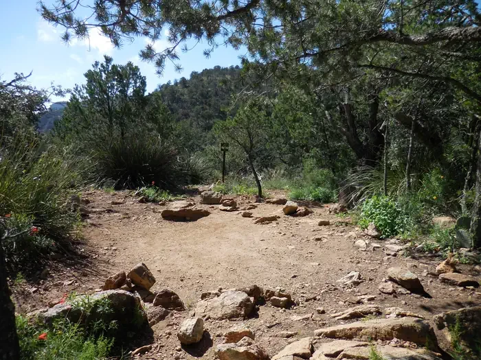 Toll Mountain