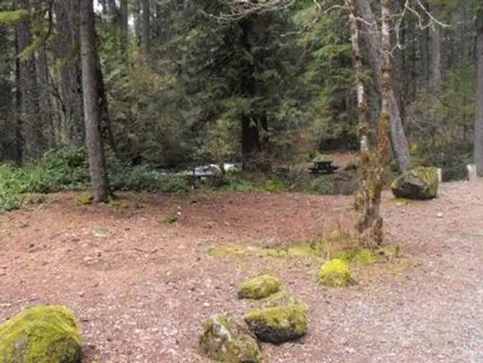 Olallie on McKenzie Highway - Willamette (OR)