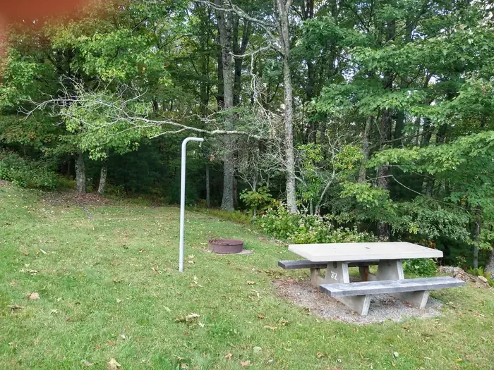 B32