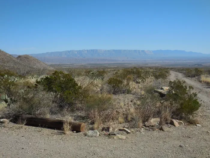Pine Canyon 1