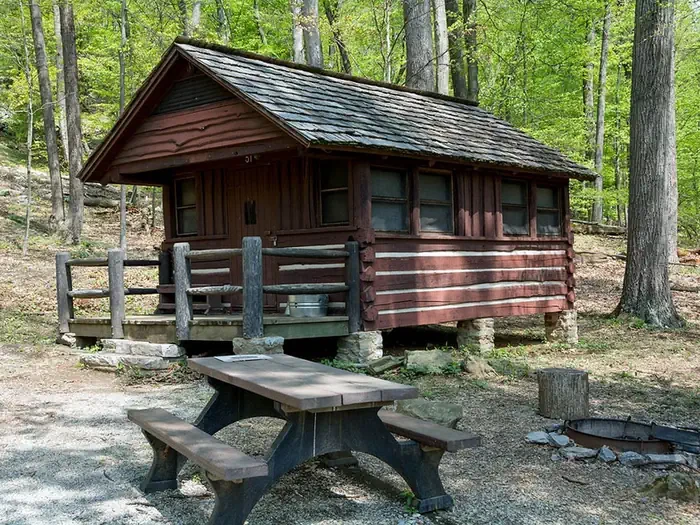 Cabin 51