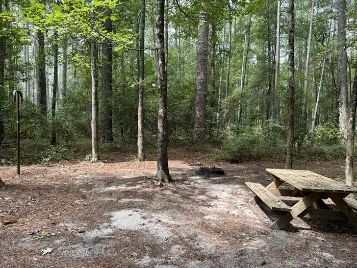 IS10