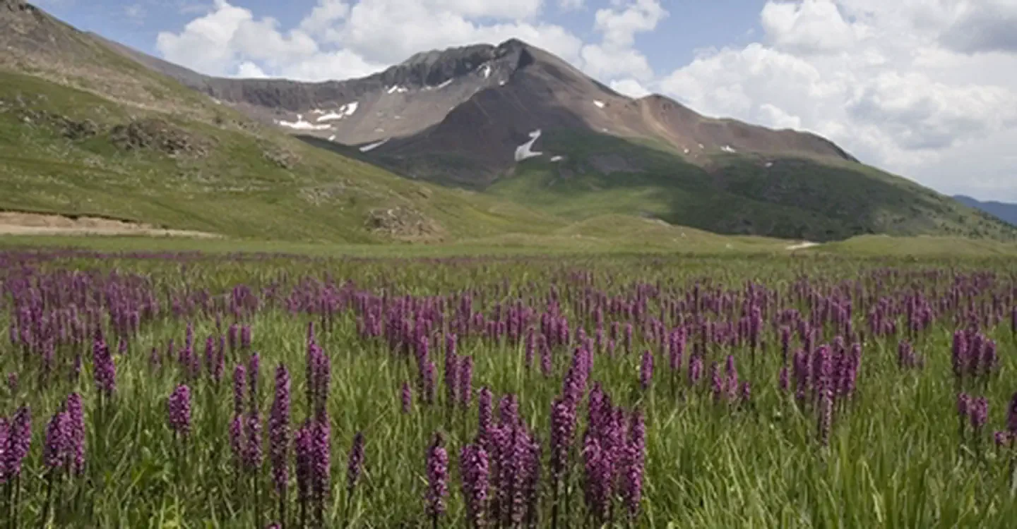 Alpine Loop Back Country Byway