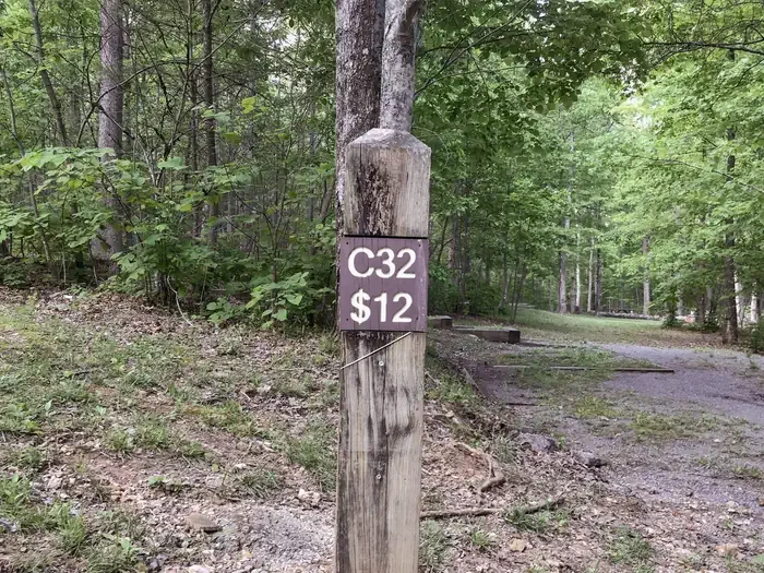 32