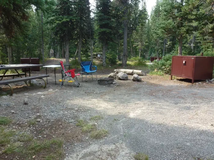 Lewis Lake site #82
