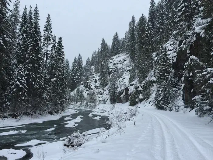 Idaho Panhandle National Forest Christmas Tree Permit