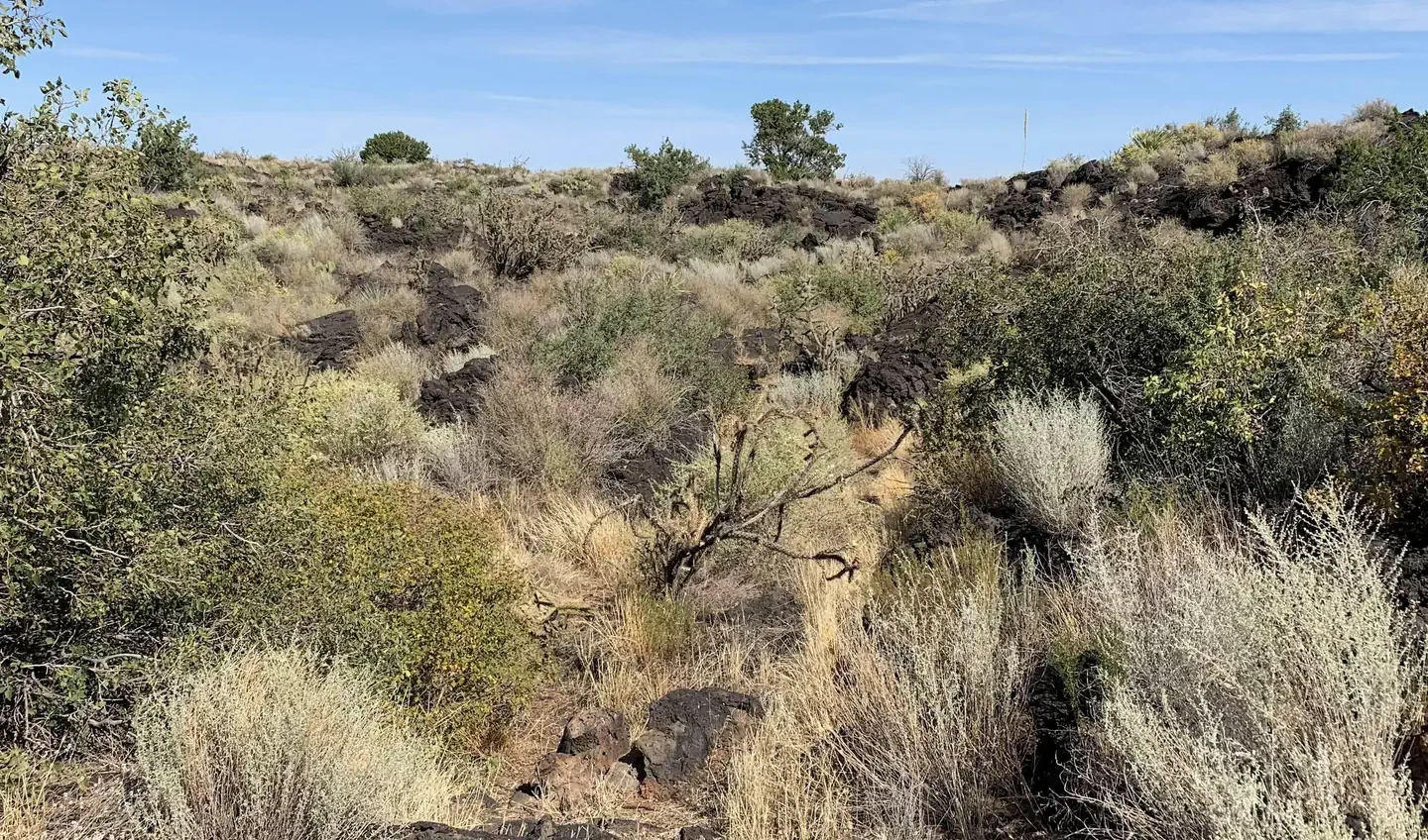Site 23