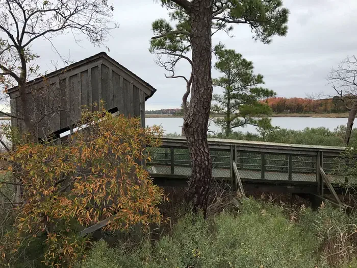 Eastern Neck National Wildlife Refuge (NWR) Permits