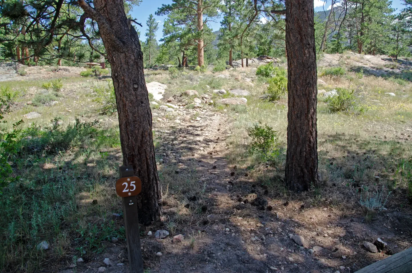A025