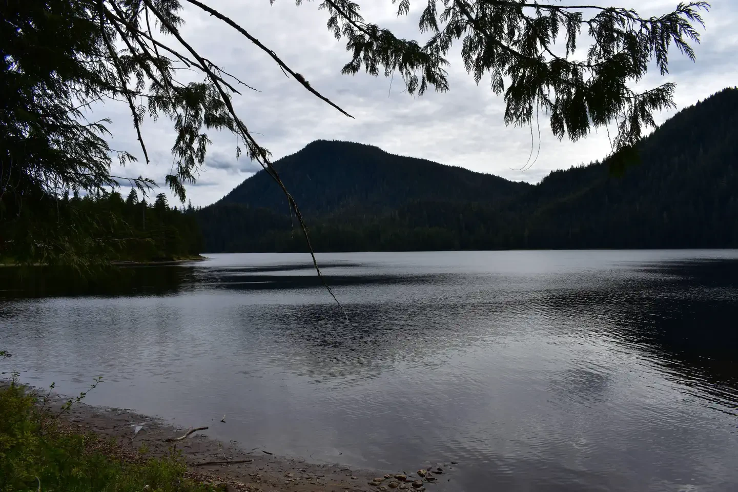 Plenty Cutthroat Cabin