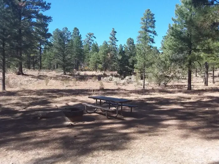 S13