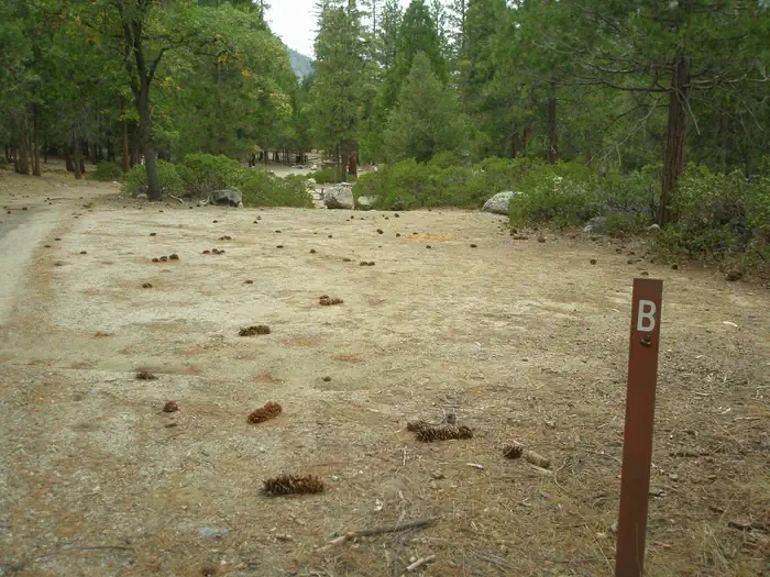 Site B