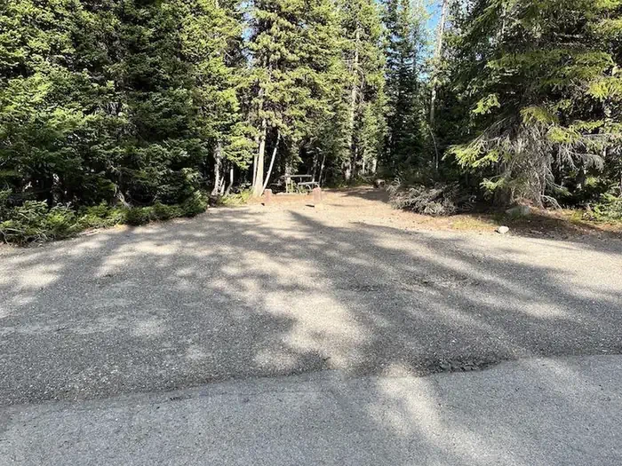 Lewis Lake site #38