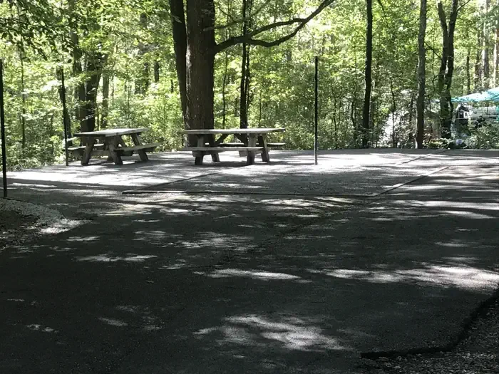 A015