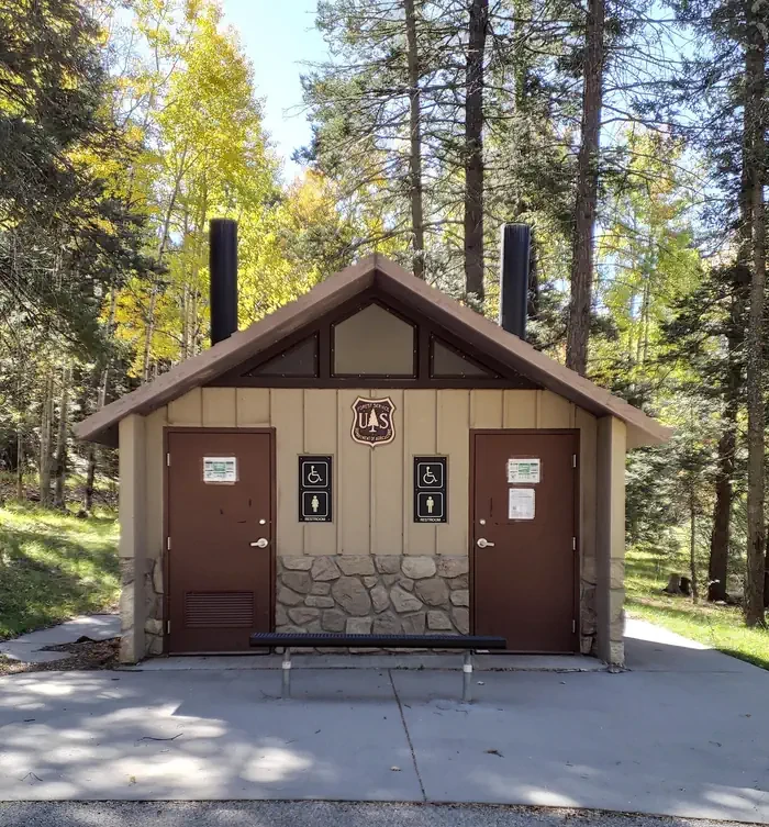 Aspen Group Area (Lincoln National Forest, NM)