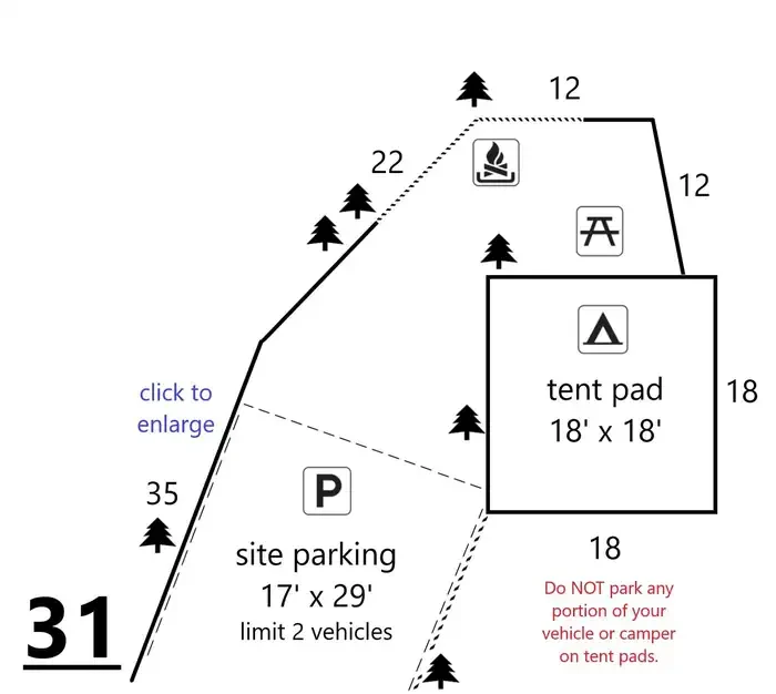 31