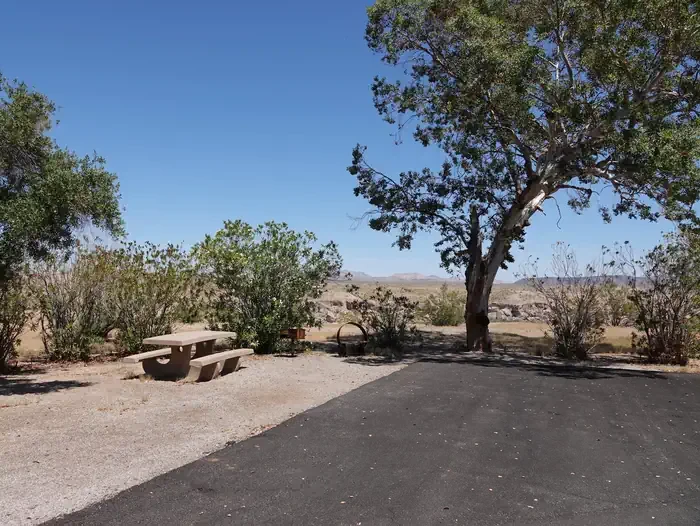 Site 50
