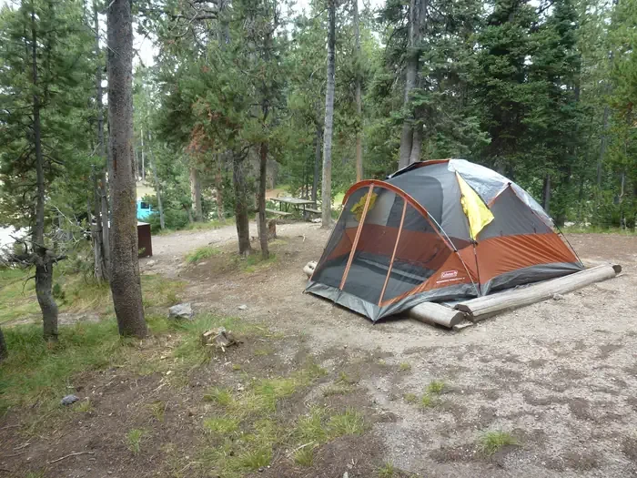 Lewis Lake site #10