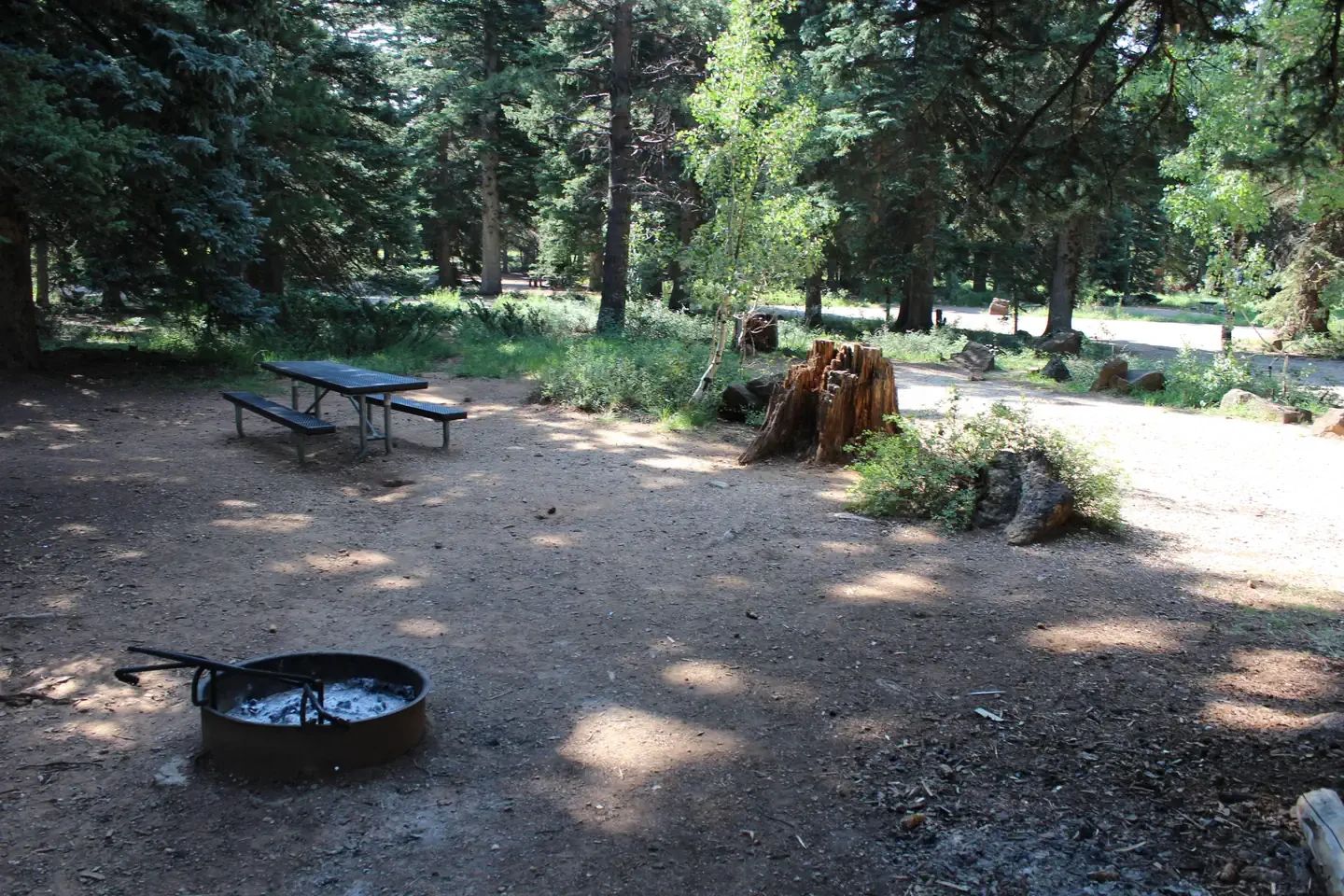 Duck Creek