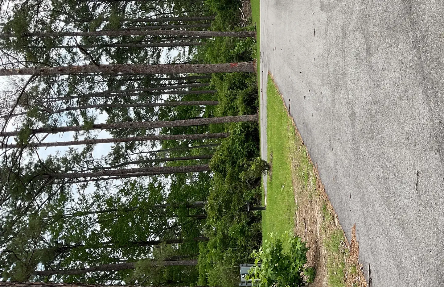 46