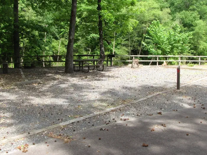 Site 9
