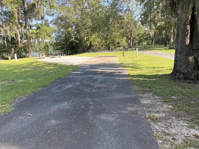 78