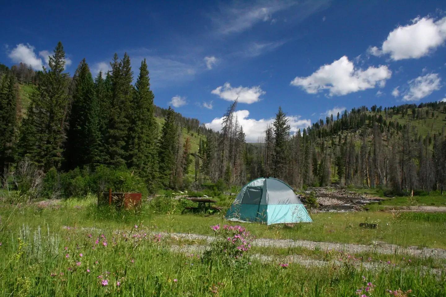 Slough Creek site #7