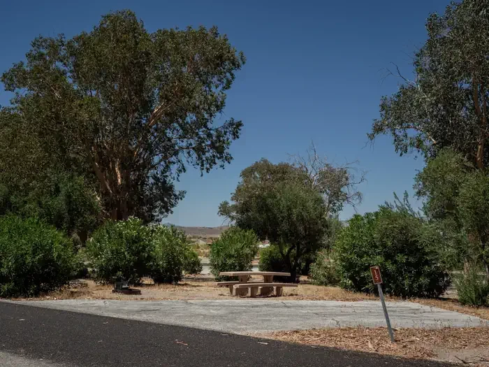 Site 15