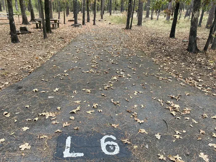 L06