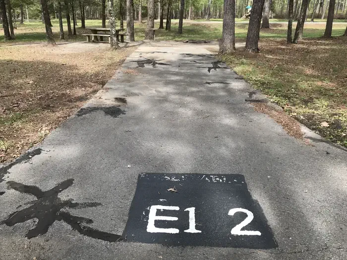 E12
