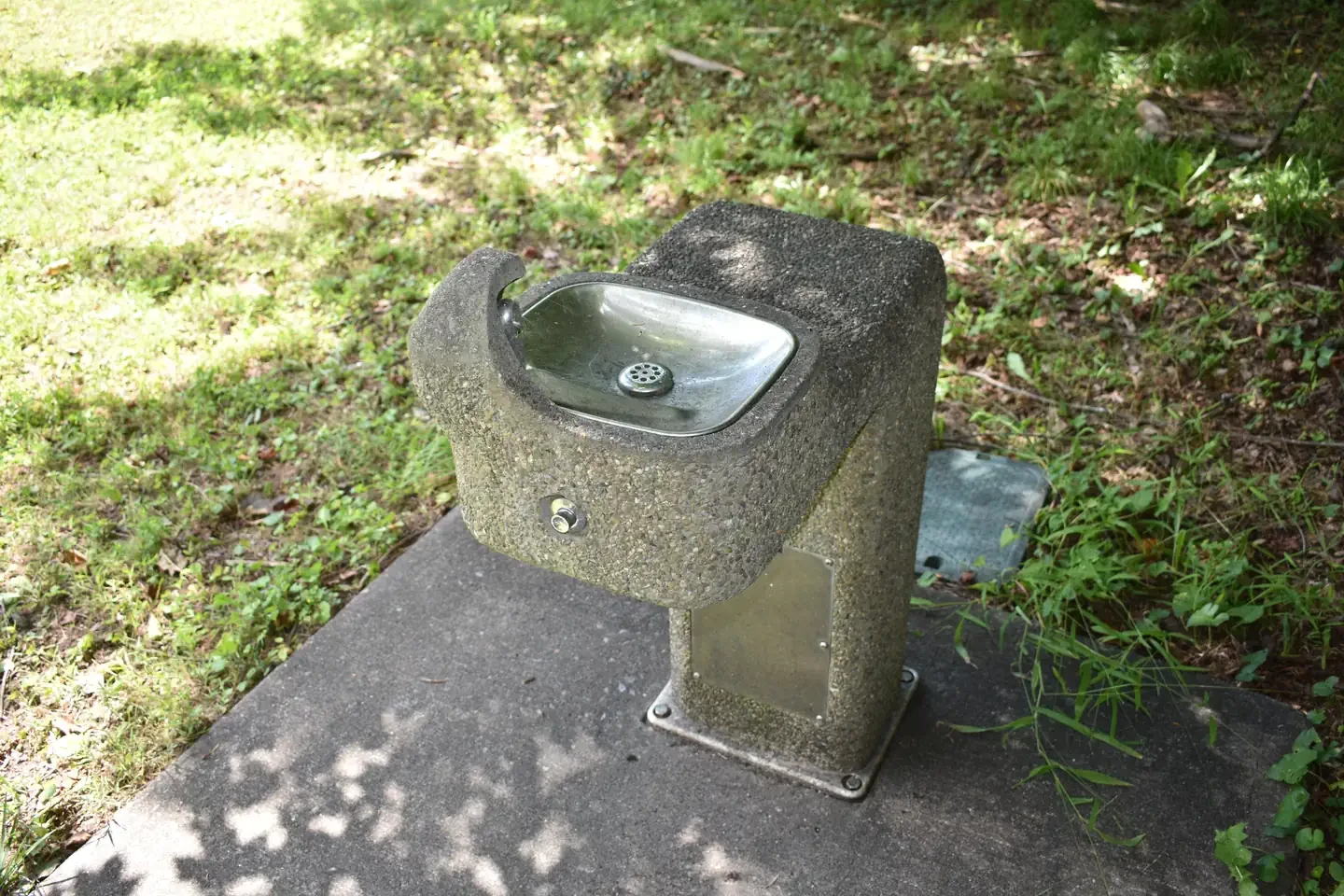 Alpena
