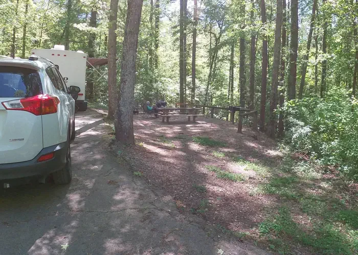 019