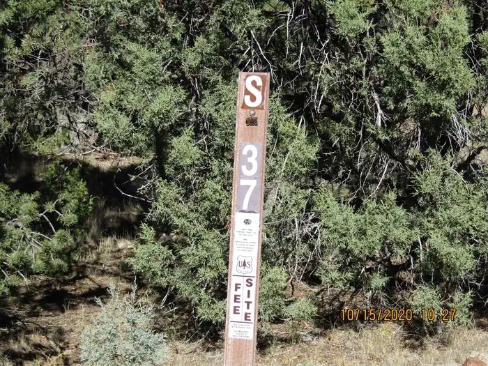 37
