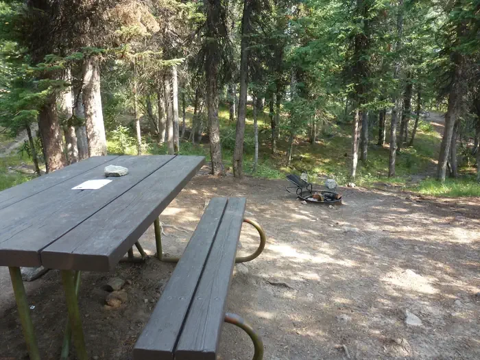 Lewis Lake site #67