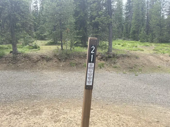 21