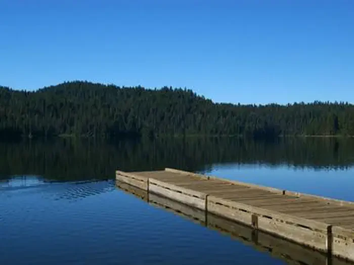Sagehen Creek