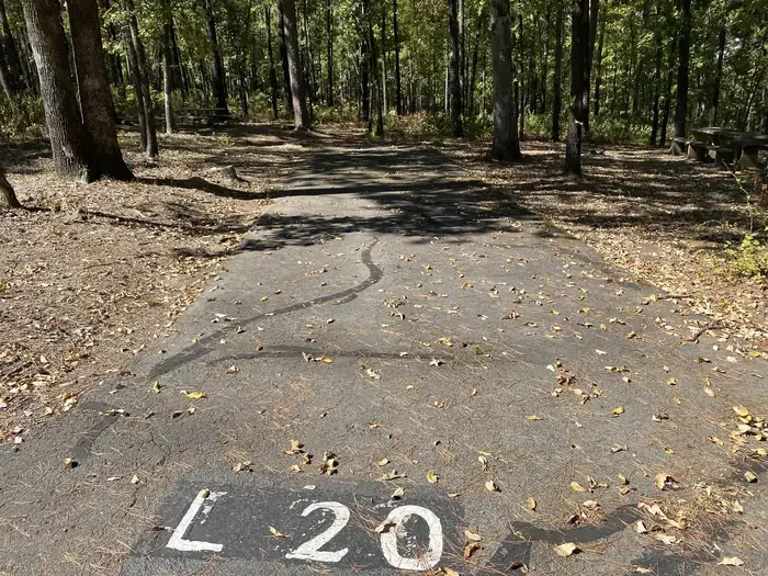 L20